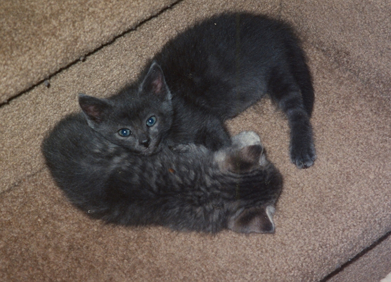 Photograph 153